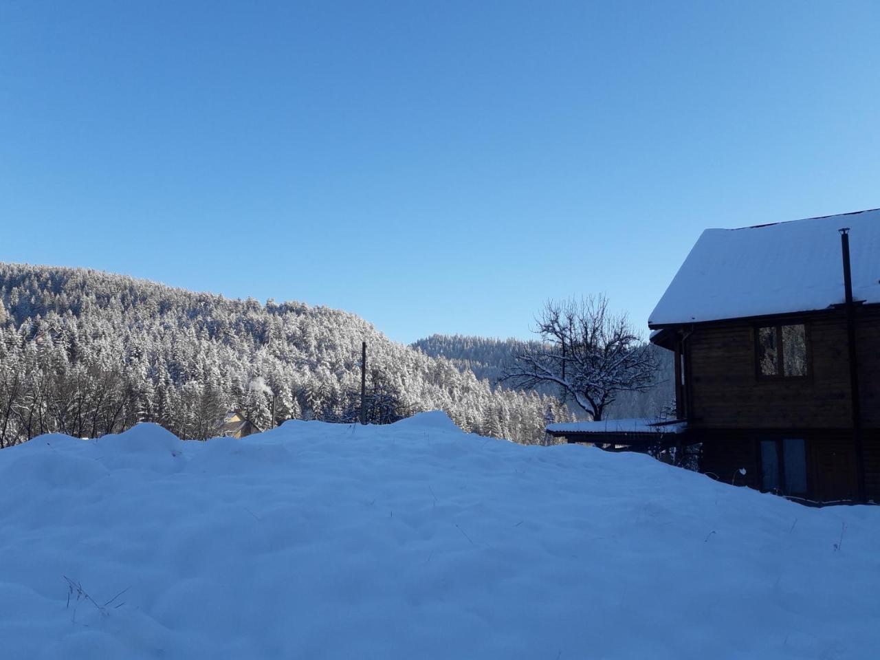 Hotel Krym Jaremcze Zewnętrze zdjęcie